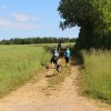 IMG_8645